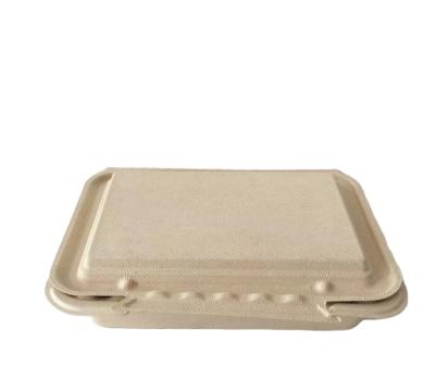 China Disposable Biodegradable Bagass Food Sugar Cane Container 8.8 Inch Food Box for sale