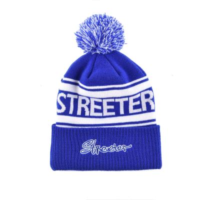 China COMMON Wholesale Custom Acrylic Winter Pom Pom Beanie Woven Label Hat 100% Embroidery Logo for sale