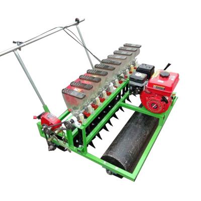 China Motorized Planter Gasoline Farm Farm Hand Push Seeder Machine for sale