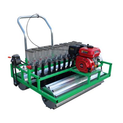 China Vegetable Planter High Efficiency Machine Seed Planter Vegetable Sowing Machine for sale