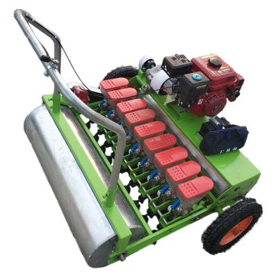 China Agricultural Machinery Vegetable Gasoline Planter Electric Motor Driven Greenhouse Vegetable Using Hand Carrot Seeder for sale