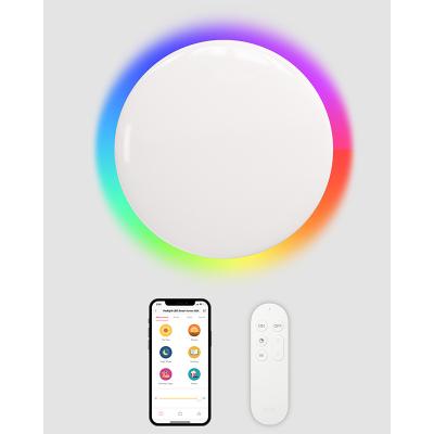 China YEELIGHT Smart Control Xiaomi Smart Ceiling Led Light Arwen 550C Dimmable, Support Voice Control, Works With Amazon Alexa For Living Room for sale