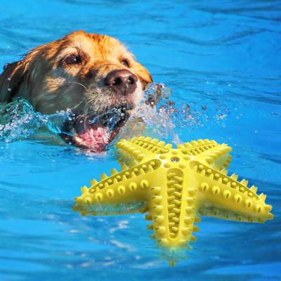 China Sustainable Chew Toy Dog Toys - Starfish Sea Pet Toys & Accessories Tpr Bone Dog Star for sale