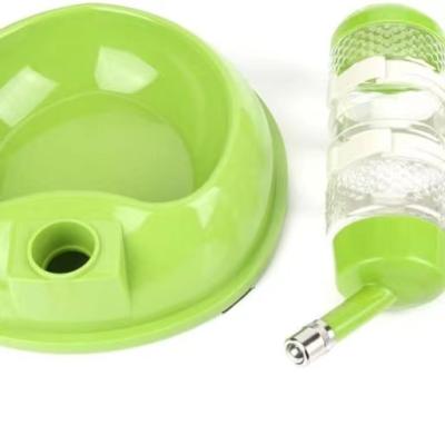 China Sustainable Standing Water Dispenser Automatic Dog Bottle Lift Food With Bowl Bottom Set for sale