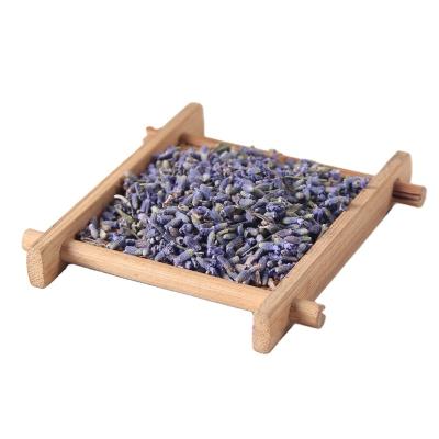 China Eco-friendly Wholesale Food Grade Dried Flower Laudio-videoender Decorative Dried Lavender for sale