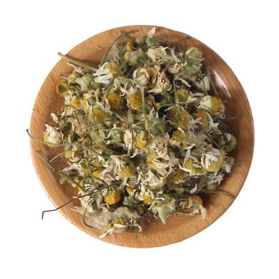 China Eco-friendly Wholesale Natural Dried Camomile Flower Flavor Tea Dried Manzanilla Matricaria Recutita Dry Chamomile for sale