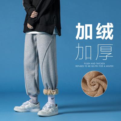 China 2021 Japanese blue lamb large size thick cashmere winter bottom breathable casual pants M-5X HK21734-S70 for sale