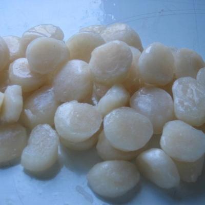 China FROZEN High Quality Frozen Scallop Meat for sale