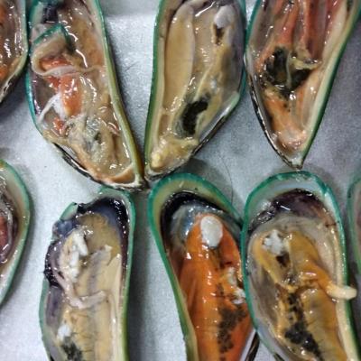 China Factory Wholesale Good Sale Frozen Indonesia Green Mussel for sale