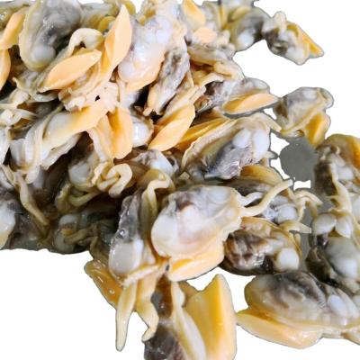 China Factory Price FROZEN Indonesia Petroleum Frozen Clam for sale