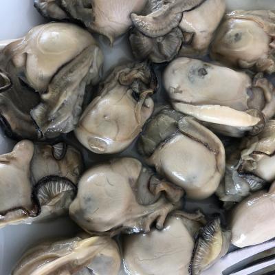 China Natural Origin FROZEN Oyster Frozen Meat from Indonesia for sale