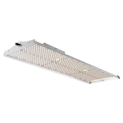 China Seed Starting 300W Led Grow Lights Full Spectrum High PPFD For Indoor Plants 6ftx2ft FGB3000 for sale