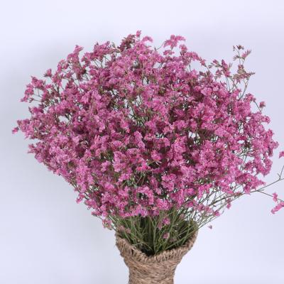 China Natural Touch Dried Crystal Grass Natural Preserved Flowers rose dried flowers Yunnan factory wholesale for event decoration for sale