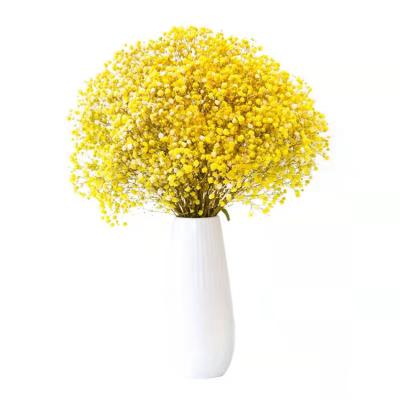 China Factory Wholesale Durable Preserved Babysbreath Dried Flowers And Plants For Home Decoration for sale