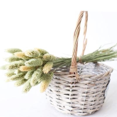 China Wholesale High Quality Natural Beauty Preserved Flower Gemstone Grass Durable For Home Decor Real Touch Flower for sale