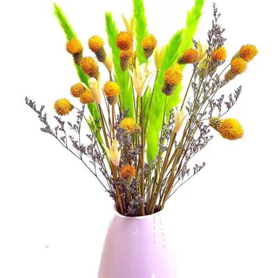 China Factory Price Durable Wholesale Real Plant Preserved Flowers During Long Dry Small Pampas Grass for sale