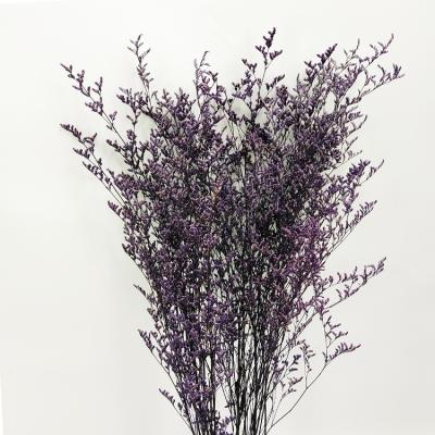 China Preserved Flower Gifts Home Decoration Dried Flower Bouquet Arrangement Natural Large Wholesale Hot Selling Home Decoration for sale