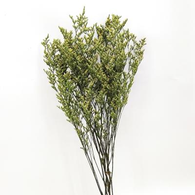 China StaticesinuateL Natural Dry Flower Arrangement Yunnan China Factory Yunnan China Factory Supplier for sale