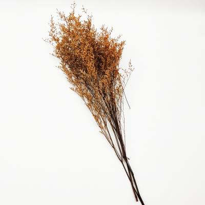 China Flower dried valentine natural dried flower preserved grass for creative flower arrangement for sale