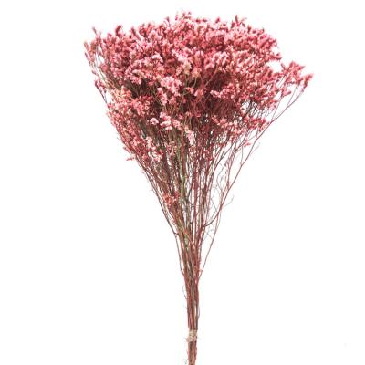 China China Factory Wholesale Durable Micranthemum Micranthemum Dried Flower Decorative Piece For Home for sale