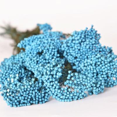 China Preserved Flower 2021 Newly Hot Sale Modern Natural Dry Rice Flower Preserved Ozothamnus Diosmifolius For Flower Arrangement for sale