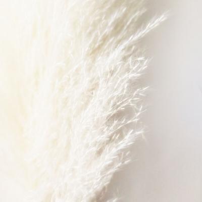 China Decotation Reed Pampas Extra Fluffy Pampas Grass Boho Natural White Home Decor For Wedding Decorations for sale