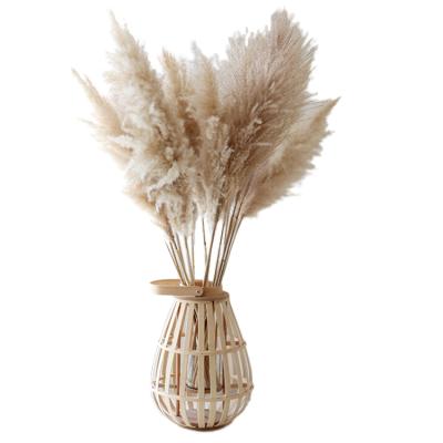 China Indor and outdor decoration dried pampas grass wedding decoration pampas grass fluffy natural pampas style new for sale