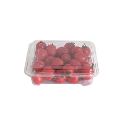 China Disposable Clear Clamshell Packing Mlevel Box For Fruit Packing for sale