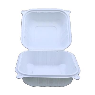 China Food Grade Modern Square Clamshell Plastic Bento Box Hamburger for sale