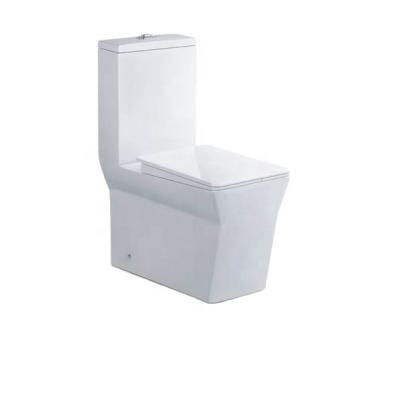 China Double-flush Middle East Style Bathroom Ceramic One Piece Washdown Toilet for sale