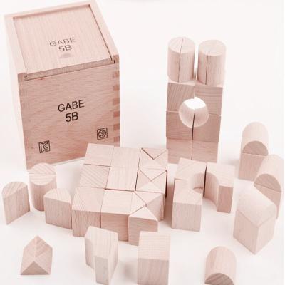 China Toy Froebel Baby Kids Creativity Building Toys Developing Gabe 5B Wooden Cube Learning Preschool Education Training for sale