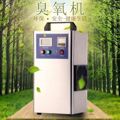 China pet house disinfection and sterilization use 2g ozone generator for sale