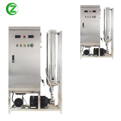 China ozonated water machine for agriculture irrigation 50g for sale