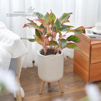 China Modern Cheap Lazy Flower Manufacturer Factory Self Watering Flower Pot Flower Pots Plastic for sale