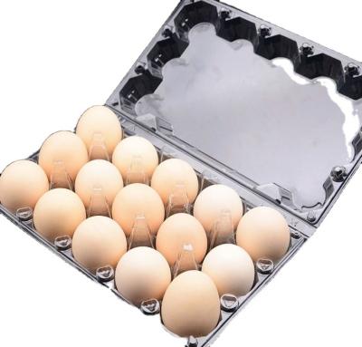 China Recycled Materials Clear 15 Holes / Cavities Plastic Clamshell Egg Tray Box Packaging for sale