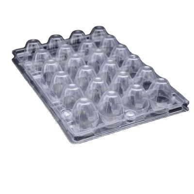 China Clear ; Recycle; Low price and factory price high quality clear disposable plastic PET quail egg tray for supermarket for sale