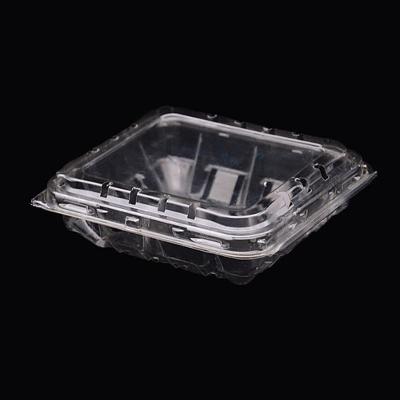 China Stylish Salad Keep Fresh Clear Clamshell Plastic Packaging Container for sale