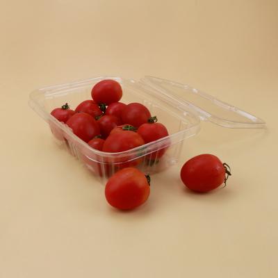 China Recyclable Dry For Fruit Boxes For Fruits With Rack Vegetables With Lid Vine And White Corrugated Fruit Box for sale