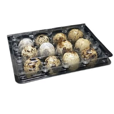 China Lock By Buttons Disposable PVC Quail Egg Tray Supplier for sale