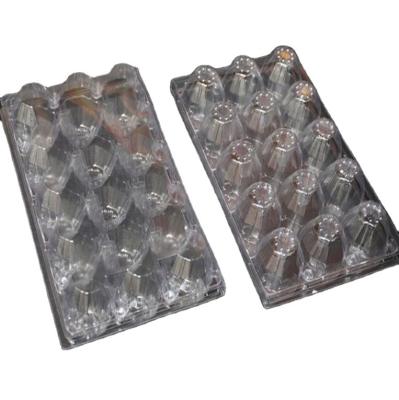 China Lock By Buttons Clear 15 Hole Plastic Egg Tray Clamshell Container Plastic Wholesale Supplier for sale