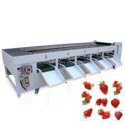 China Factory Lowest Price Vegetable Onion Snacks Sorter Olive Sorting Machine for sale