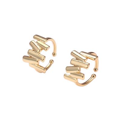 China Fashion Fashion Irregular Vertical Ear Cut Ladies Simple High Jewelry Earrings Without Ear Holes Set Earrings for sale