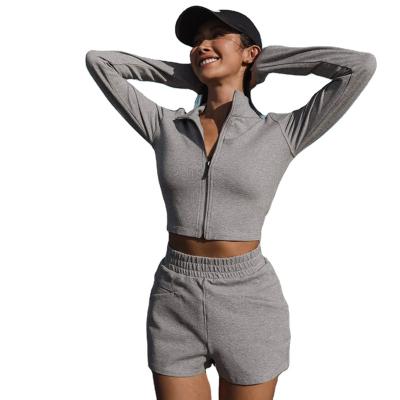 China QUICK DRY Spring Women Sport Casual Solid Top Collar Long Sleeve Crop Two Piece Short Set Women Tracksuit Set for sale