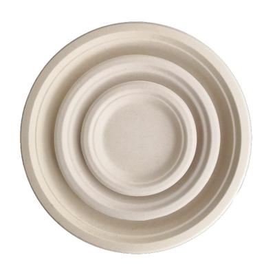 China Natural sugar cane paper plate the bagasse disposable dish biodegradable dish for sale