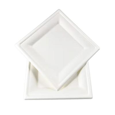 China 100% Biodegradable Sugar Cane Pulp 7 Inch Square Dish Bagasse Tableware Paper Tableware for sale