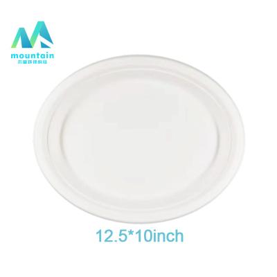 China Disposable Compostable Dinner Bagasse Dish Oval Sugar Cane Dishes Bagasse for sale