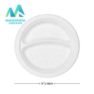 China Success Round 9 Inch 2 Compartment Biodegradable Sugar Cane Bagasse Paper Food Plates White Disposable Compostable Dish for sale