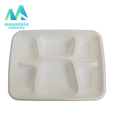 China Biodegradable Compostable Bagasse Food Box With Lid 6 Compartment Lunch Tray for sale