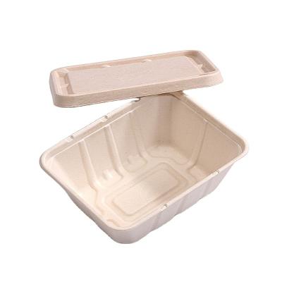 China Rectangle 1500Ml Disposable Biodegradable Food Lunch Packing Container Sugar Cane Food Box Sugarcane Bagasse Tray With Lid Takeway Fast for sale