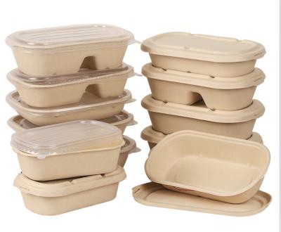 China Eco Disposable Food Packaging Boxes 850ml White Biodegradable Lunch Boxes With Lid Sugar Cane Bagasse To Go Disposable Bento Food Container for sale